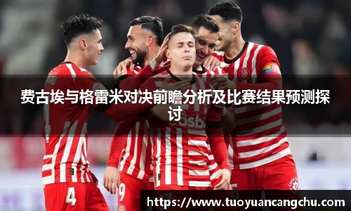 费古埃与格雷米对决前瞻分析及比赛结果预测探讨